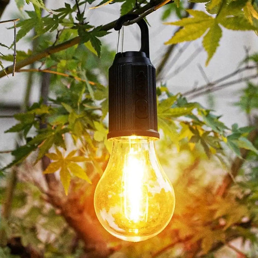 Led rechargeable bulb lamp for camping and for other multi purpose use